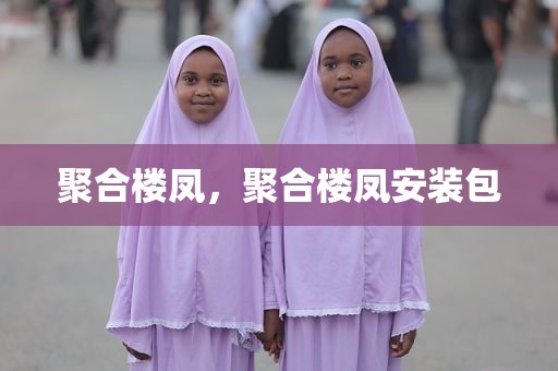 聚合楼凤，聚合楼凤安装包