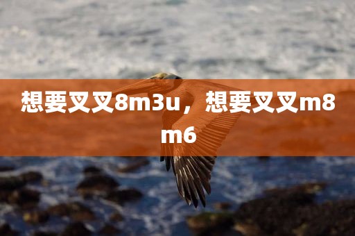 想要叉叉8m3u，想要叉叉m8m6