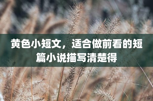 黄色小短文，适合做前看的短篇小说描写清楚得