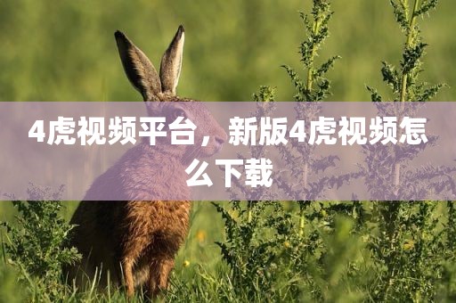 4虎视频平台，新版4虎视频怎么下载