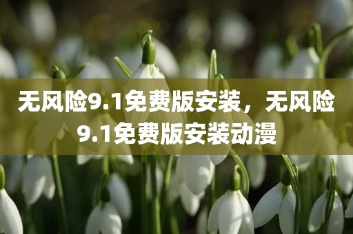 无风险9.1免费版安装，无风险9.1免费版安装动漫
