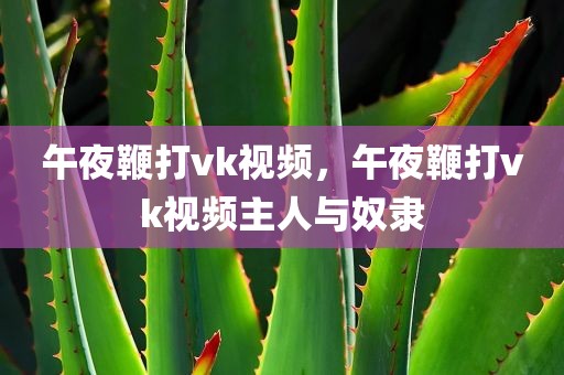 午夜鞭打vk视频，午夜鞭打vk视频主人与奴隶