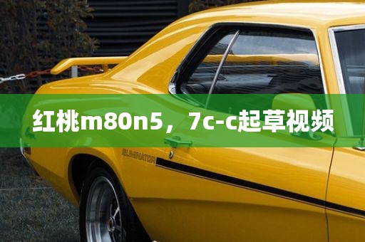 红桃m80n5，7c-c起草视频