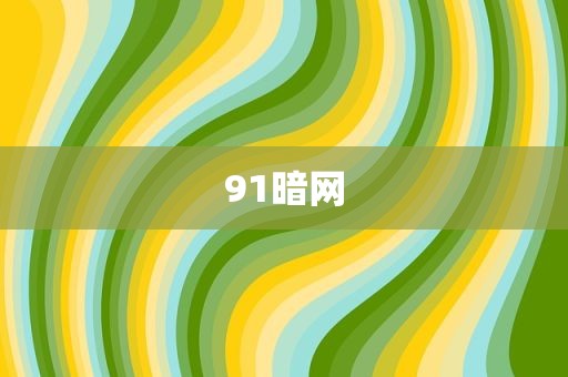 91暗网