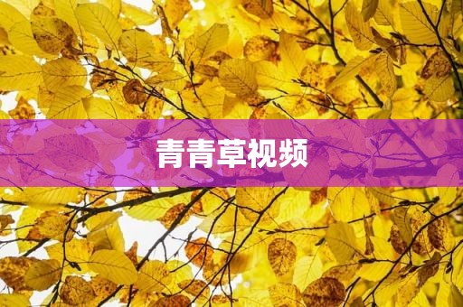 青青草视频
