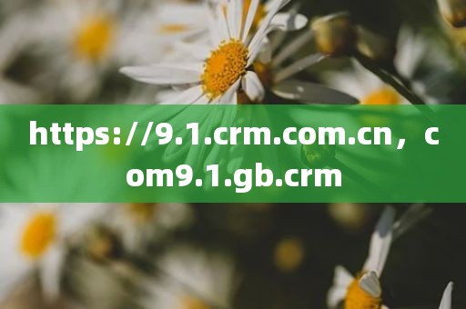 https://9.1.crm.com.cn，com9.1.gb.crm