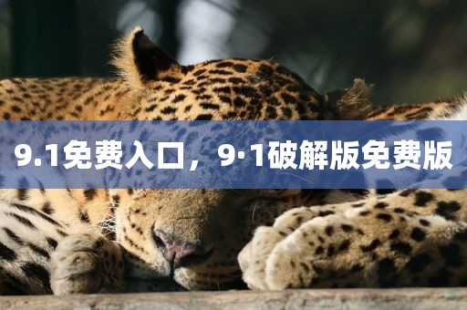9.1免费入口，9·1破解版免费版