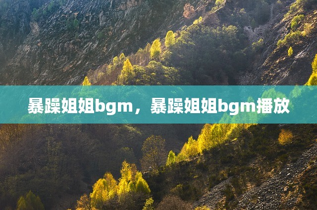 暴躁姐姐bgm，暴躁姐姐bgm播放