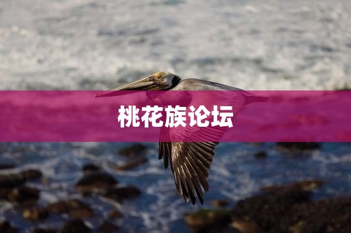 桃花族论坛