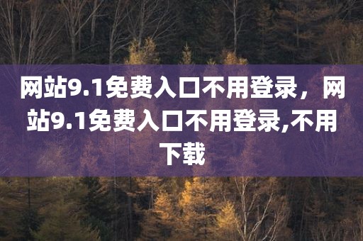 网站9.1免费入口不用登录，网站9.1免费入口不用登录,不用下载