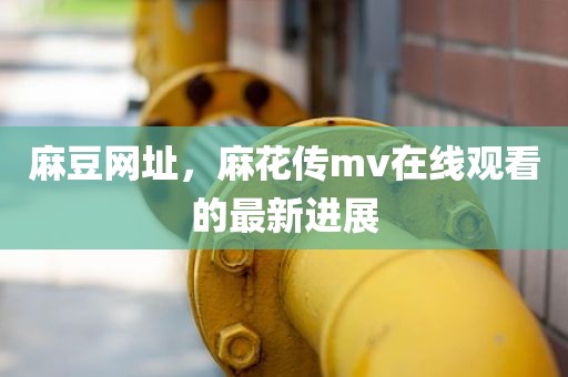 麻豆网址，麻花传mv在线观看的最新进展