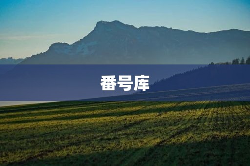 番号库