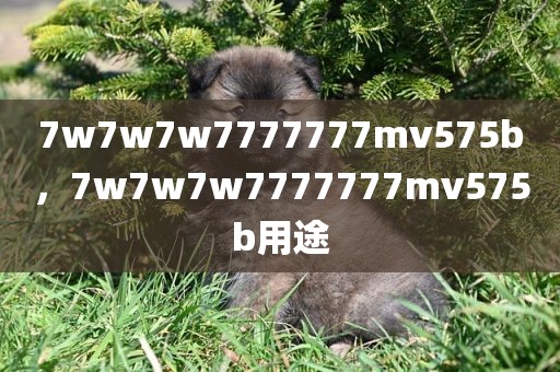 7w7w7w7777777mv575b，7w7w7w7777777mv575b用途