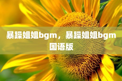 暴躁姐姐bgm，暴躁姐姐bgm国语版