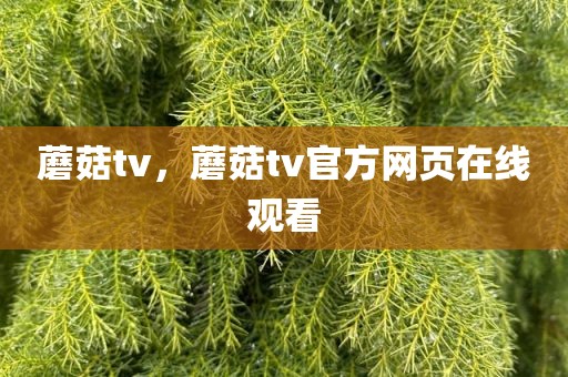 蘑菇tv，蘑菇tv官方网页在线观看