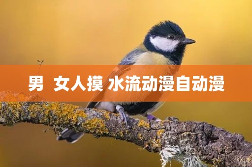 男  女人摸 水流动漫自动漫