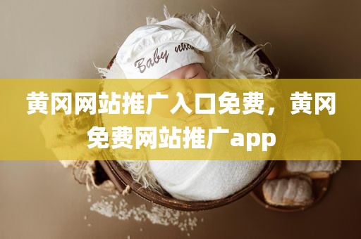 黄冈网站推广入口免费，黄冈免费网站推广app