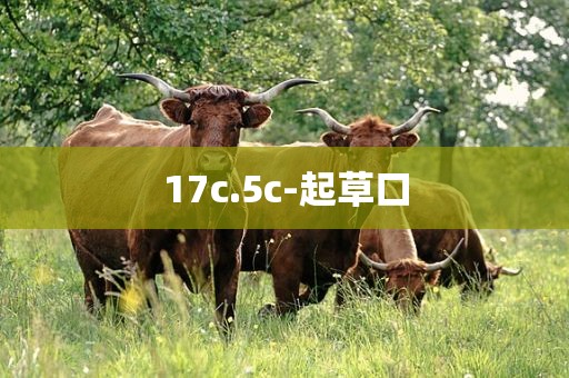 17c.5c-起草口