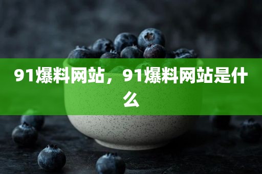 91爆料网站，91爆料网站是什么
