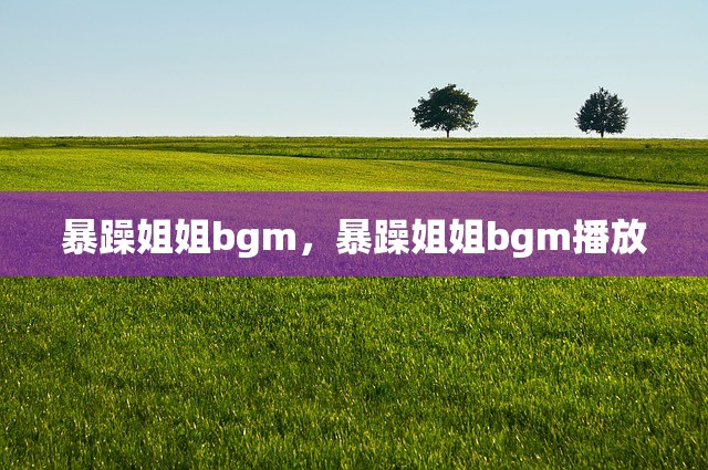暴躁姐姐bgm，暴躁姐姐bgm播放