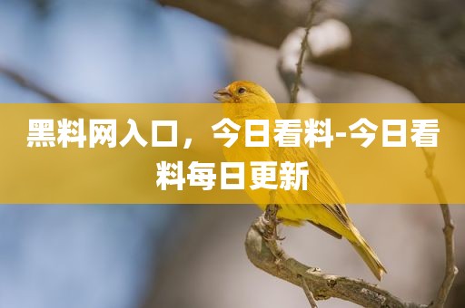黑料网入口，今日看料-今日看料每日更新