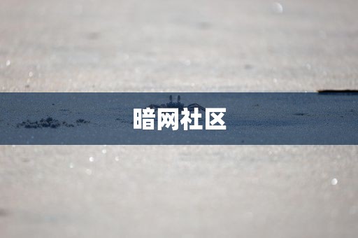 暗网社区