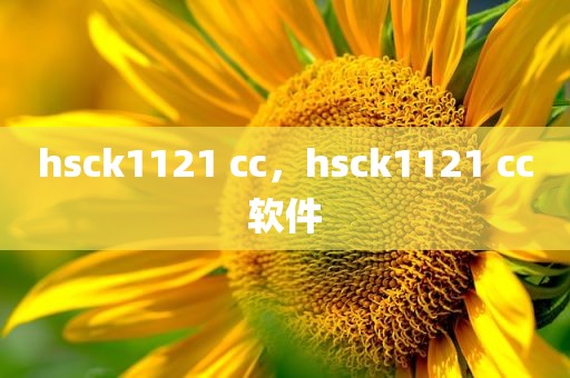 hsck1121 cc，hsck1121 cc软件