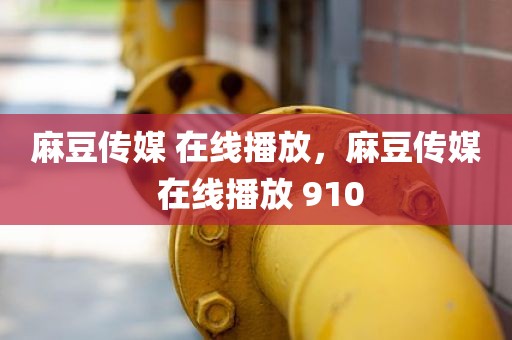 麻豆传媒 在线播放，麻豆传媒 在线播放 910