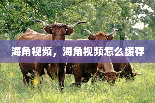 海角视频，海角视频怎么缓存