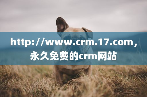 http://www.crm.17.com，永久免费的crm网站
