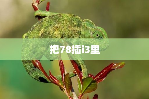 把78插i3里