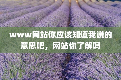 www网站你应该知道我说的意思吧，网站你了解吗
