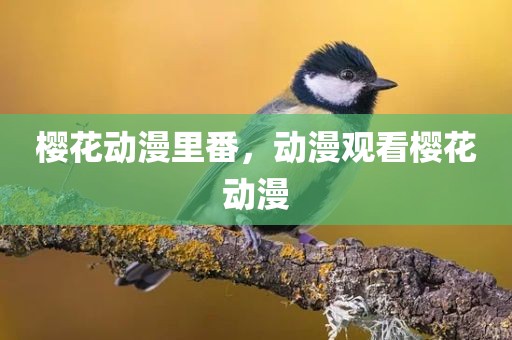 樱花动漫里番，动漫观看樱花动漫