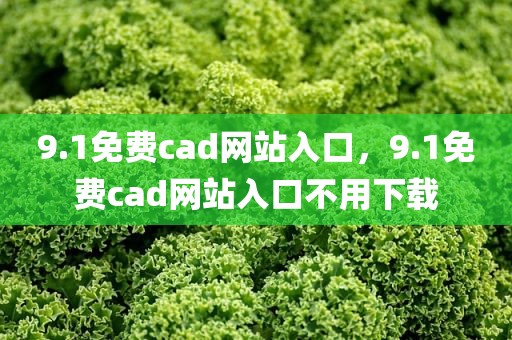 9.1免费cad网站入口，9.1免费cad网站入口不用下载