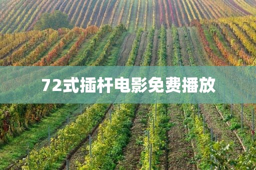 72式插杆电影免费播放