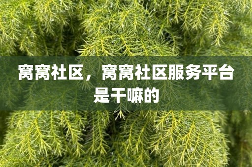 窝窝社区，窝窝社区服务平台是干嘛的