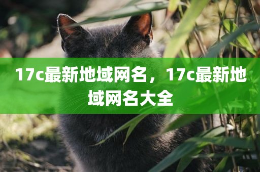 17c最新地域网名，17c最新地域网名大全