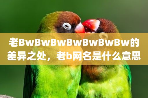 老BwBwBwBwBwBwBw的差异之处，老b网名是什么意思