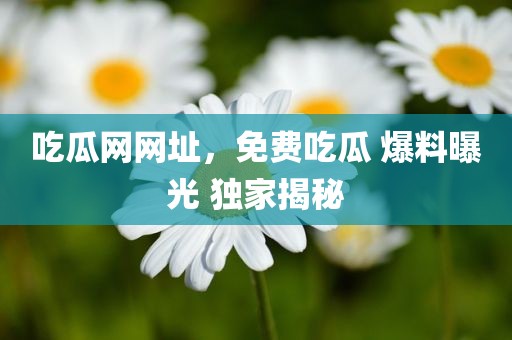 吃瓜网网址，免费吃瓜 爆料曝光 独家揭秘