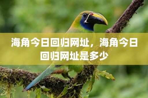 海角今日回归网址，海角今日回归网址是多少