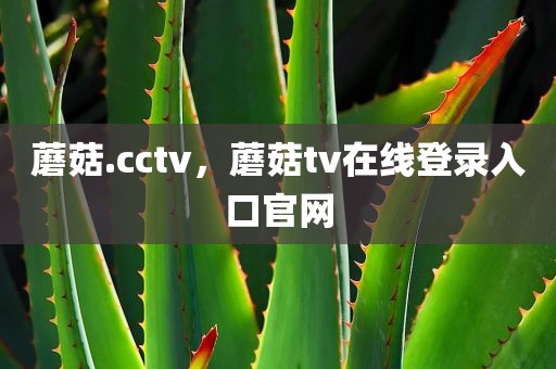蘑菇.cctv，蘑菇tv在线登录入口官网