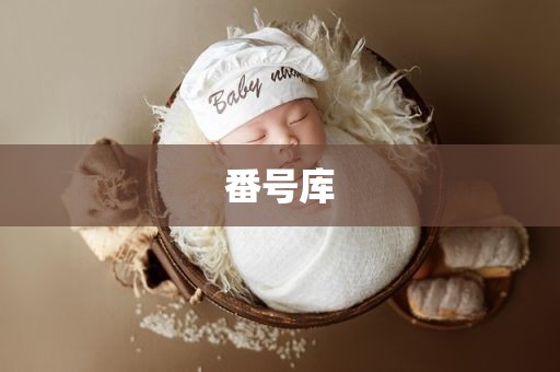 番号库