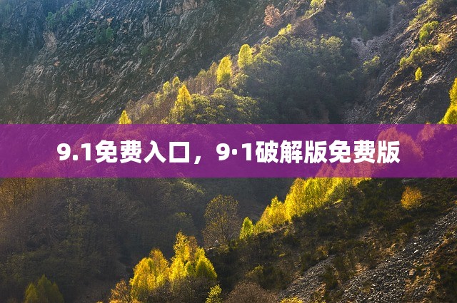 9.1免费入口，9·1破解版免费版