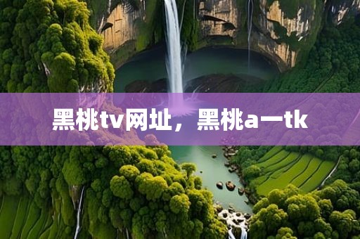 黑桃tv网址，黑桃a一tk