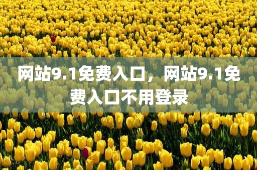 网站9.1免费入口，网站9.1免费入口不用登录