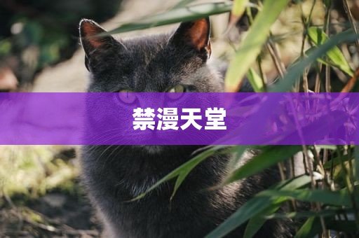 禁漫天堂