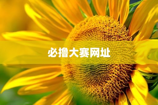 必撸大赛网址