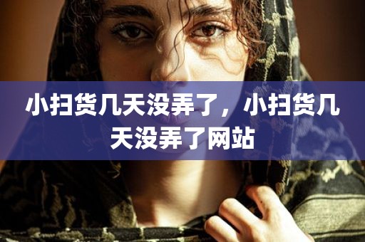 小扫货几天没弄了，小扫货几天没弄了网站