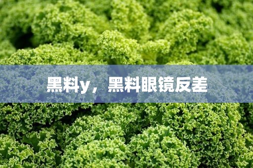 黑料y，黑料眼镜反差