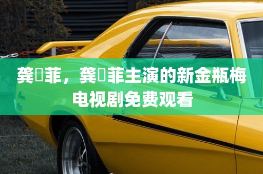 龚玥菲，龚玥菲主演的新金瓶梅电视剧免费观看